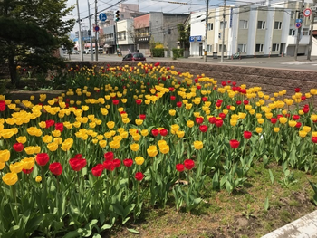 児童発達支援 きっずい~らいふ/外部環境