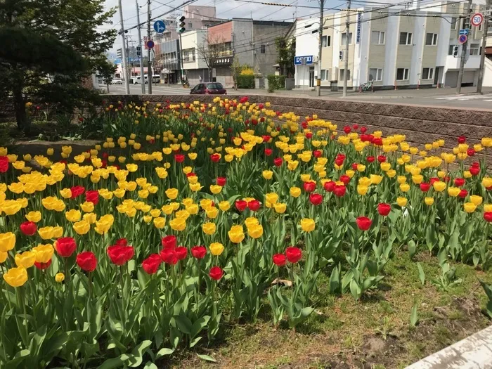 児童発達支援　きっずい～らいふ/外部環境