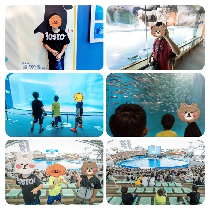 パンダの宝物　三条校/水族館！