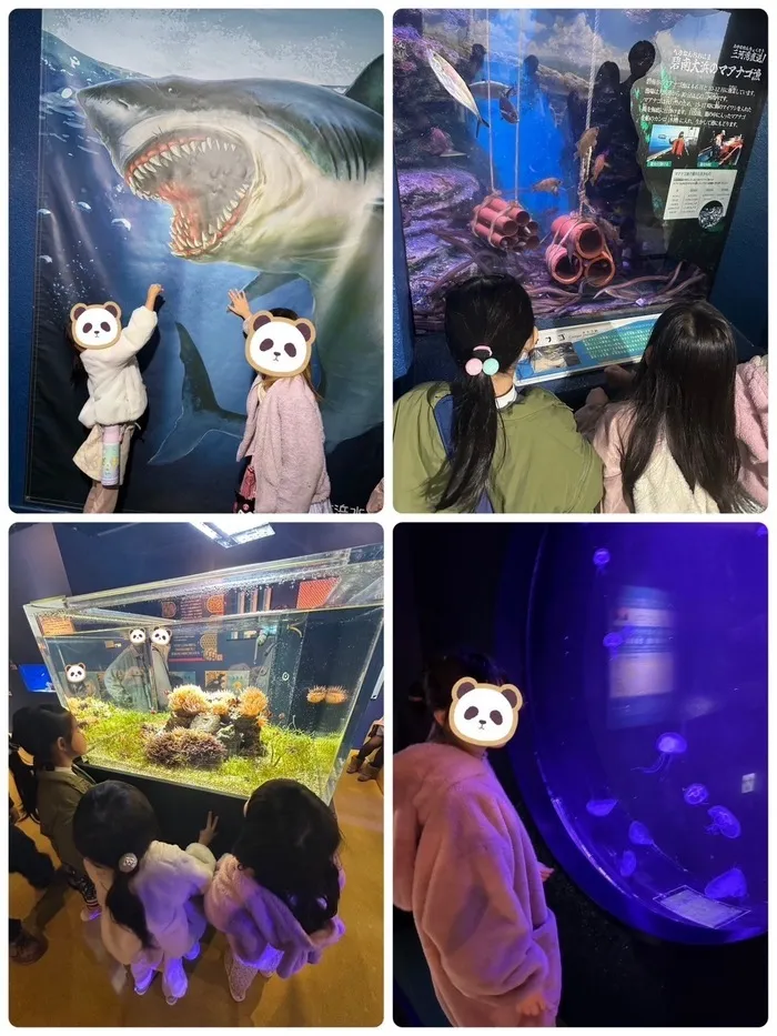 パンダの宝物　三条校/碧南水族館！