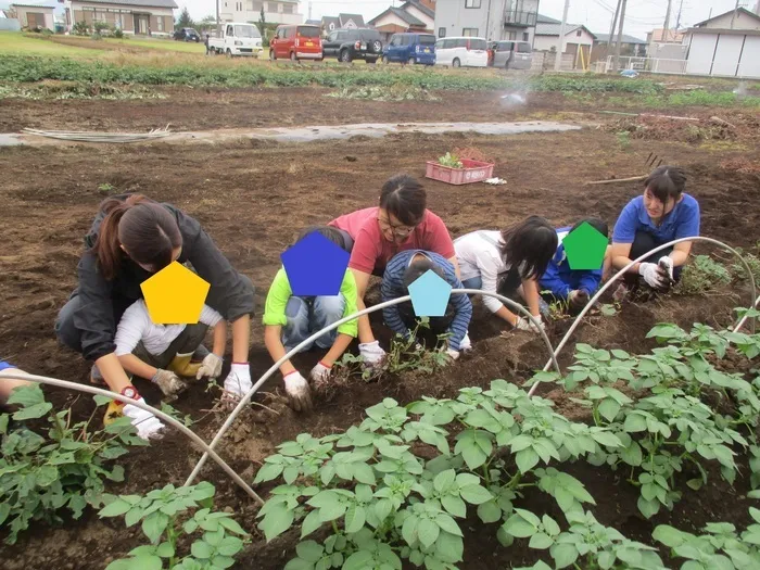 あっぷびーと/10月16日(火)＆24日(水)　さつまいも掘り🍠