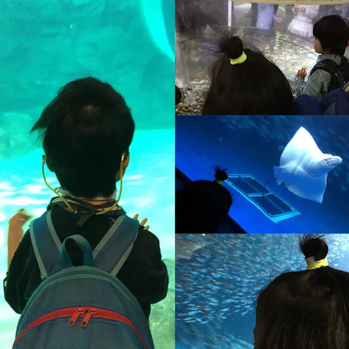 チャイルドケアハース/水族館へ遠足