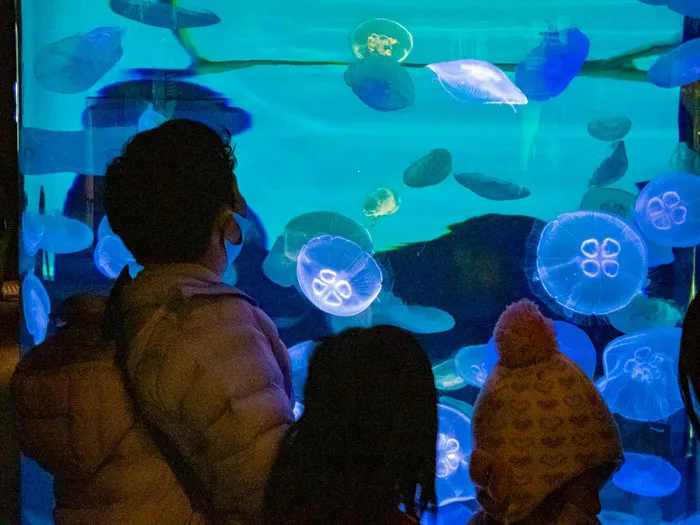 こぱんはうすさくら 佐賀水ケ江教室/放ディイベント山口県の海響館に行ってきました！