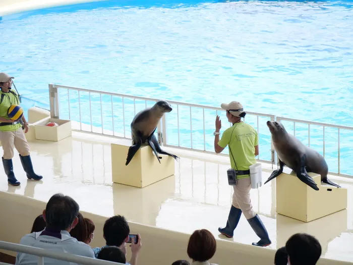 こぱんはうすさくら 佐賀水ケ江教室/【11月のプログラム予告】バスで水族館に行こう！放ディ・児発