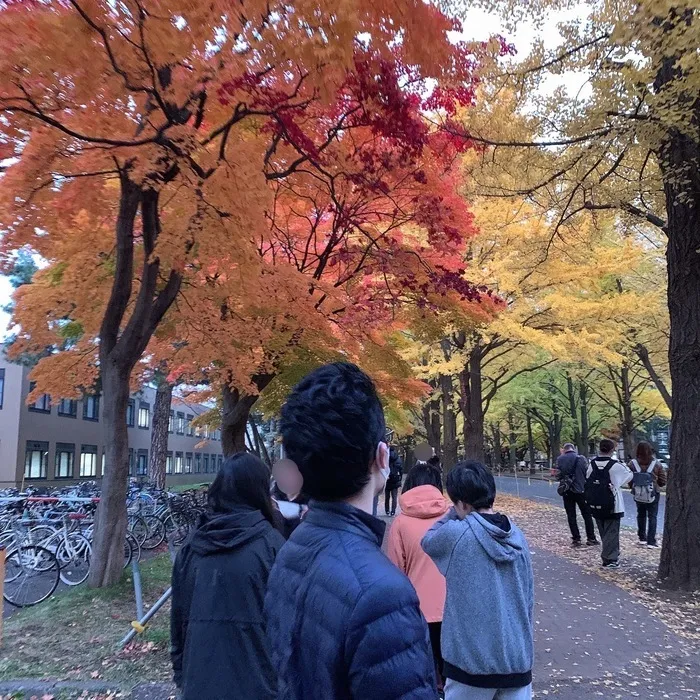 体験重視型放課後等デイサービス「ぴすと学舎・プラス」/北大いちょう並木へ！🍁