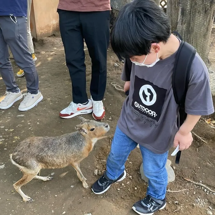 体験重視型放課後等デイサービス「ぴすと学舎・プラス」/𓅯 🐊ノースサファリサッポロ❗️🐐🐢