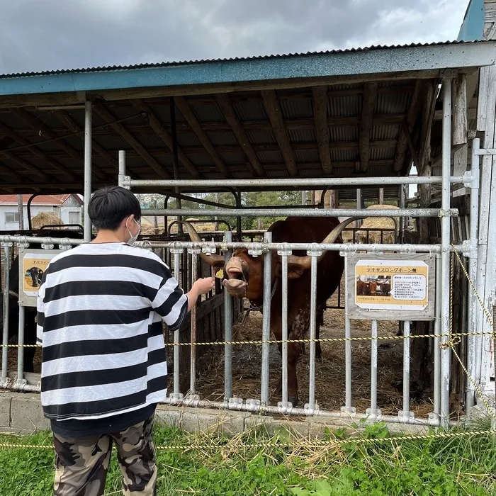 体験重視型放課後等デイサービス「ぴすと学舎・プラス」/ハイジ牧場へ行こう🐄