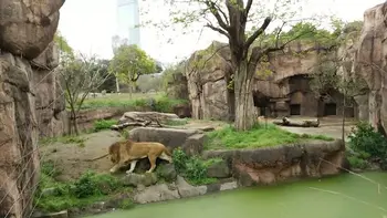放課後等デイサービスアクティブ/天王寺動物園へ行ってきました。