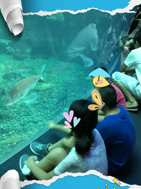 放課後等デイサービス toiro 戸塚/江ノ島水族館に行ってきました♪