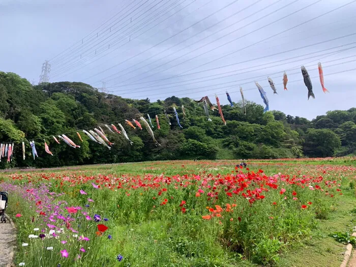 放課後等デイサービス toiro 戸塚/くりはま花の国に行ってきました♬