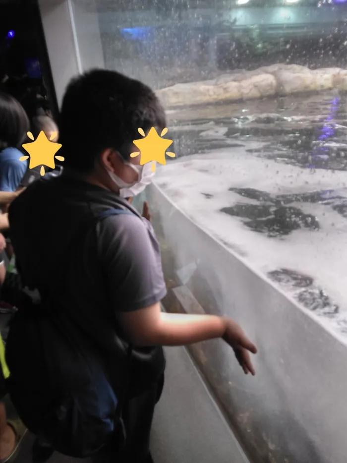 放課後等デイサービス toiro 戸塚/新江ノ島水族館♬