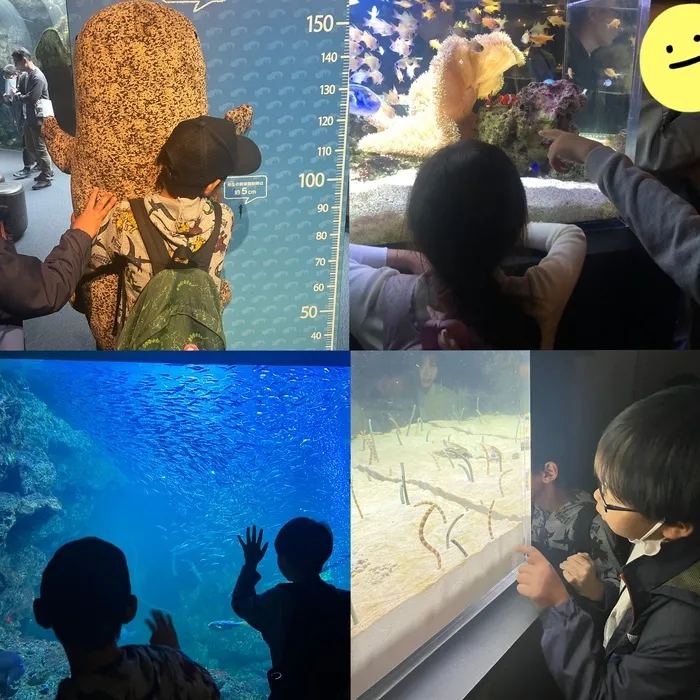 運動療育のはじめのいっぽ　放出教室/京都水族館🪼🐟