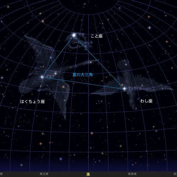 コペルプラス本八幡教室/夜空に三角を見つけよう