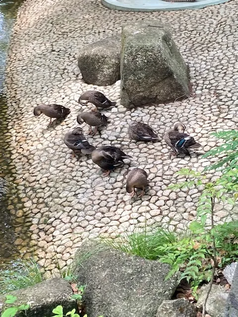 コペルプラス本八幡教室/わぁお！びっくり~😲