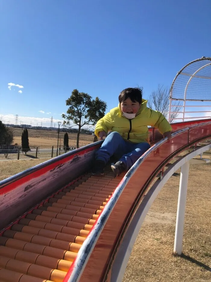 どんぐり/公園遊び