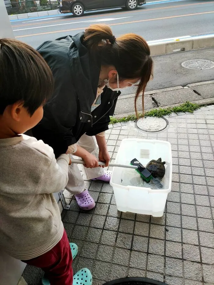 どんぐり/どんちゃん、身体を洗ってもらいました