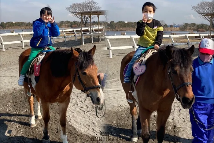 どんぐり/【お出かけ】篠崎ポニーランド