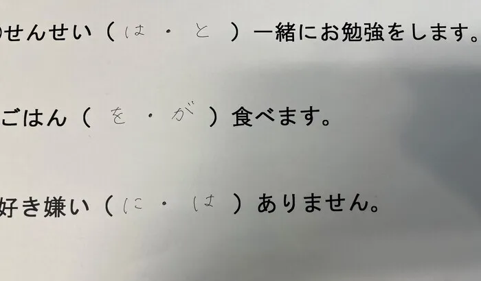 LITALICOジュニア名古屋伏見教室/プログラム紹介～助詞を覚えよう！～