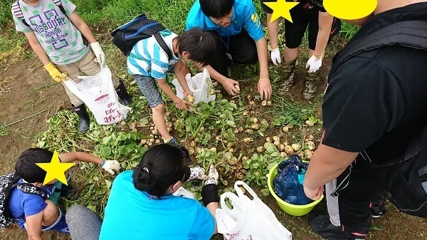 放課後等デイサービス ウィズ東大宮/じゃがいも掘り