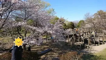 放課後等デイサービス ウィズ東大宮/蓮田・西城沼公園の桜
