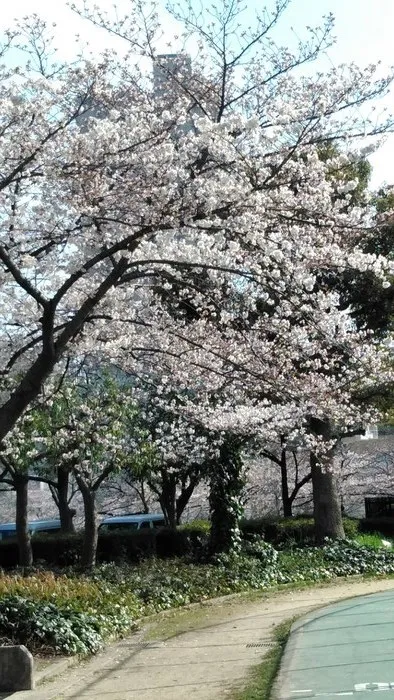 きずな学園/外部環境