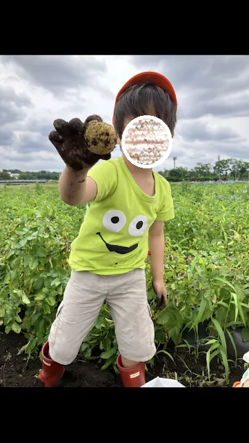 こぱんはうすさくら さいたま土呂教室/じゃがいもを掘ったよ