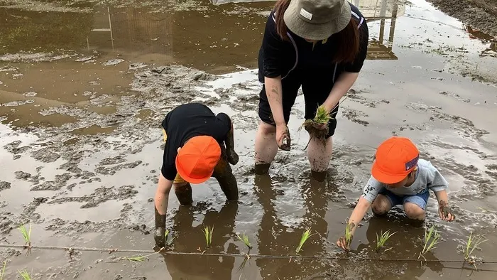 こぱんはうすさくら さいたま土呂教室/お米の学校（田植え体験）