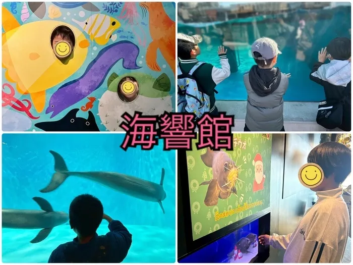 トイトイトイ 到津/海響館