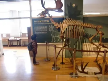 放課後等デイサービスはぴねす東和田/戸隠地質化石博物館に行きました