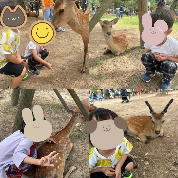 放課後等デイサービス バディ西成教室/奈良公園🦌