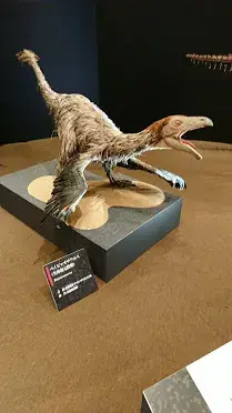 はなまる東天満店/大阪市立自然史博物館（恐竜展）に行きました。