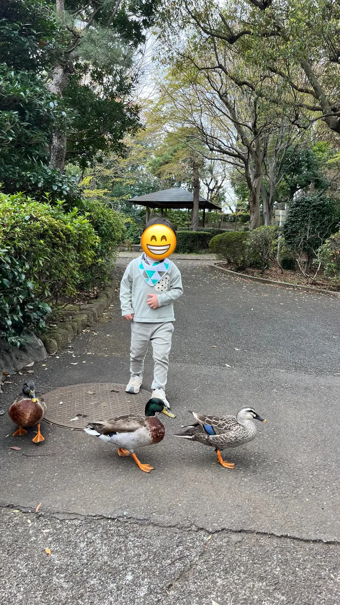 見学受付中！専門職在籍/送迎あり/年中無休（年末年始のみお休み）こぱんはうすさくら 入間豊岡教室/公園遊び🦆