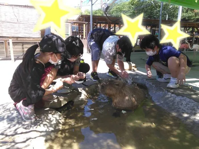  ちゃれんじくらぶ 春日教室/2022.8.4 トリアスふれあい動物園🐐