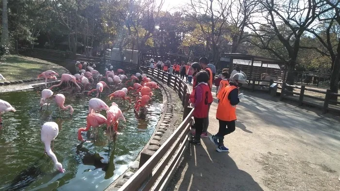  ちゃれんじくらぶ 春日教室/2020.12.5 海の中道公園に出かけました