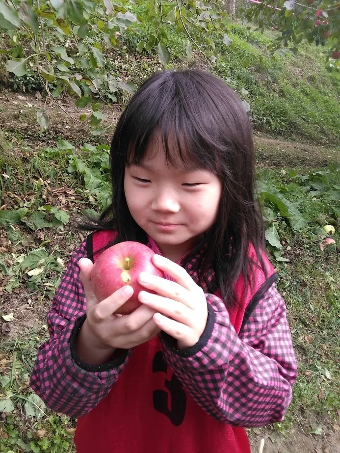  ちゃれんじくらぶ 春日教室/2023.10.14 りんご狩り🍎