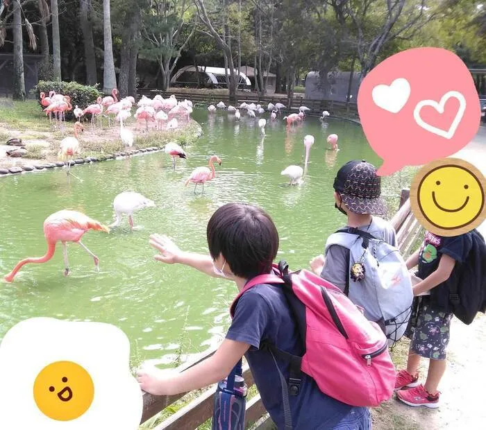  ちゃれんじくらぶ 春日教室/2022.9.24 海の中道海浜公園⛲