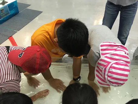  ちゃれんじくらぶ 春日教室/おさかな遊園地🐟