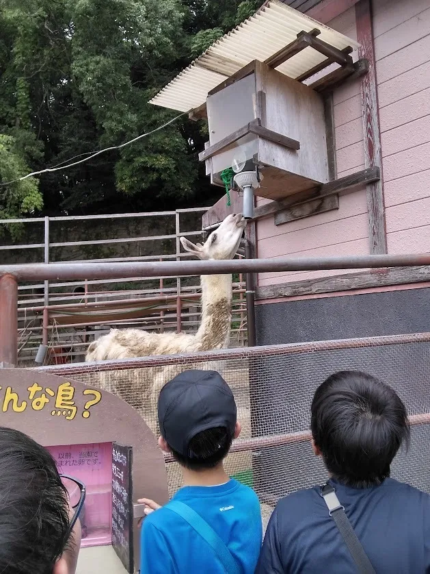  ちゃれんじくらぶ 春日教室/2023.8.23 🐼大牟田市動物公園🦁