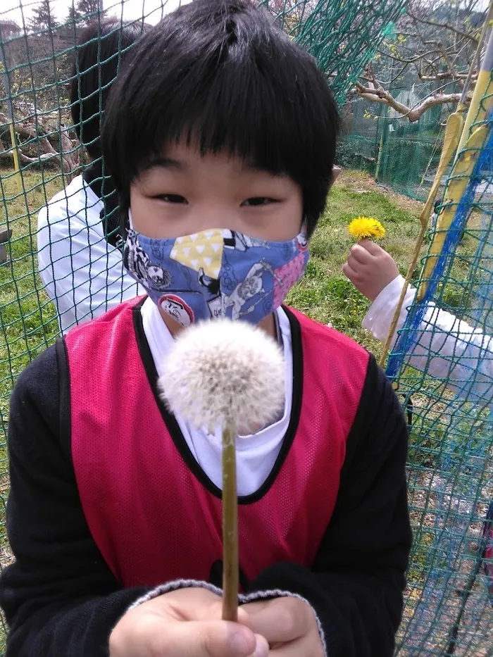  ちゃれんじくらぶ 春日教室/2022.4.2　お花見🌸