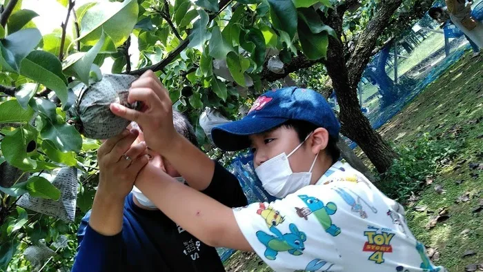  ちゃれんじくらぶ 春日教室/2021.9.25　梨狩り🍐