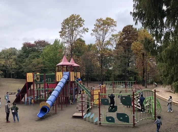 らんらん青空/柏の葉公園に行ってきました！