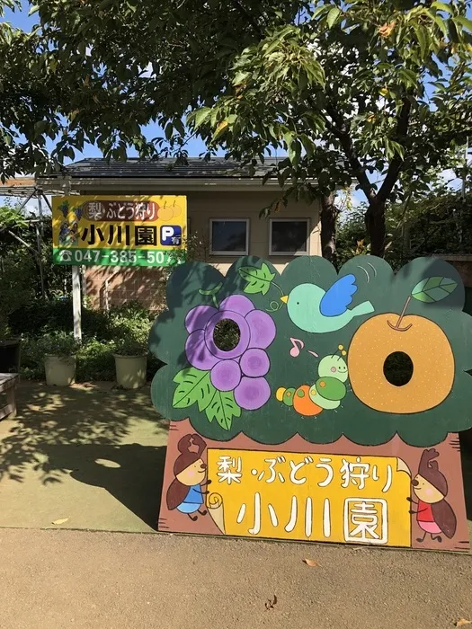 らんらん青空/外出レク(🍇ぶどう狩り　千葉県鎌ケ谷市）