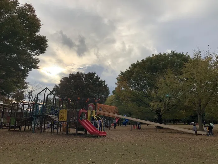 らんらん青空/青葉の森公園「わんぱくランド」に行ってきました！