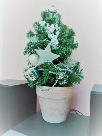 コペルプラス藤沢教室/クリスマスツリーがやってきた！🎄✨