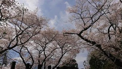 よりみち～こころとことばの教室～/都知事の自粛要請を受けてお休みしています！！