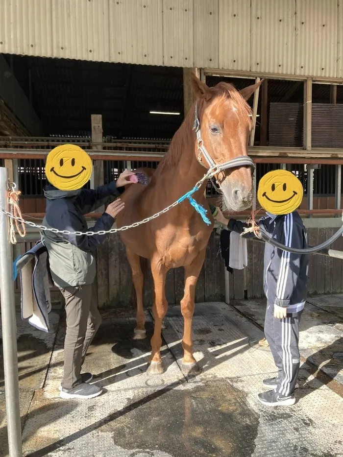 ハッピーテラス　飯倉教室/お馬さんとふれあおう①