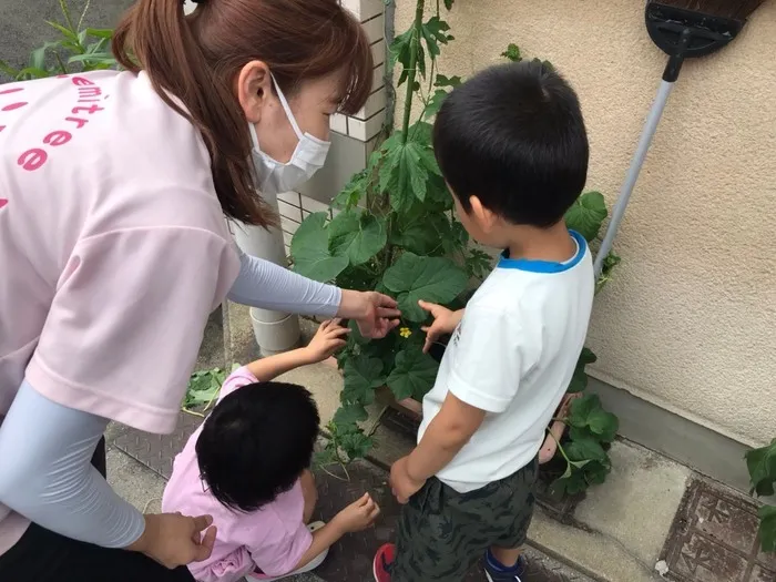 エミツリー　児童発達支援・放課後等デイサービス/野菜の苗を観察しよう☆