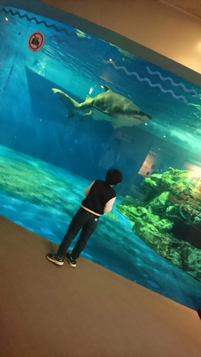 いろのわ/しながわ水族館へ行ってきました　その2