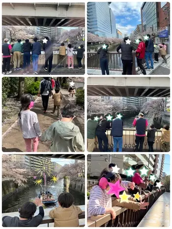 いろのわ/目黒川にお花見に行きました！