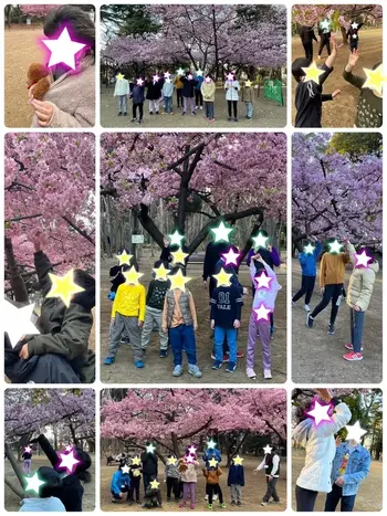 いろのわ/林試の森公園に河津桜を見にいきました！